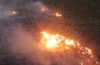 Лес загорелся от удара молнии в Минусинском районе