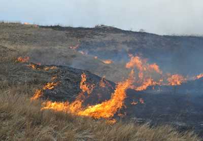 На 1 апреля в Хакасии было зарегистрировано 11 ландшафтных пожаров, в прошлом году на эту дату — 130. Однако выходные испортили статистику, добавив 17 степных пожаров и палов травы. 