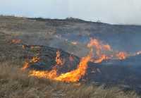 На 1 апреля в Хакасии было зарегистрировано 11 ландшафтных пожаров, в прошлом году на эту дату — 130. Однако выходные испортили статистику, добавив 17 степных пожаров и палов травы. 