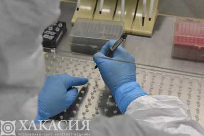 Ещё у 19 пациентов в Хакасии диагностировали коронавирус