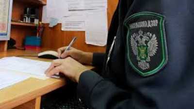 В Хакасии оштрафовали арендатора земельного участка