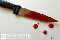 Набросился с ножом: кровавая драма в абаканском дворе