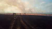 Пожарные не подпустили стену огня к населенному пункту Хакасии
