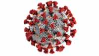 Появились новые данные по заболеваемости коронавирусом в Хакасии на 6 декабря