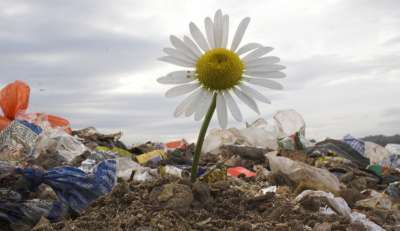Школьников Хакасии научат бороться с мусором