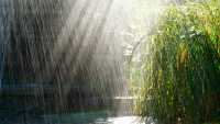 Жителям Хакасии пообещали дождь