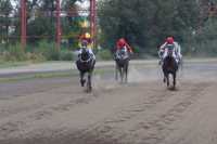 В Хакасии подвели итоги республиканских соревнований сельских конников