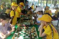 В Хакасии шахматисты отметили свой профессиональный праздник