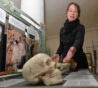 В главном музее Хакасии открылась антропологическая выставка эволюции человека