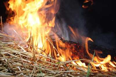 36 тонн сена уничтожил огонь в Хакасии