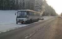 В Хакасии поймали лихих водителей автобусов