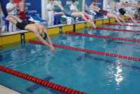 Пловцы Хакасии завоевали две бронзовые медали