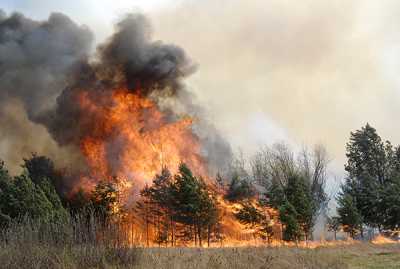 Огонь из леса и степи может прийти в города и сёла. В Хакасии 125 населённых пунктов подвержены такой опасности. 