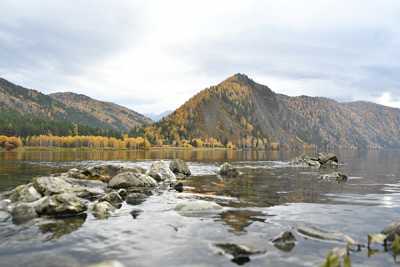 Месяц рябиновых бус