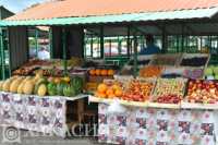 В Хакасии проверили овощи и фрукты на химикаты и ГМО