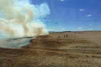 40 степных пожаров потушено в Хакасии с начала теплого сезона