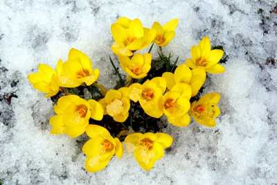 В Хакасию резко нагрянет весна