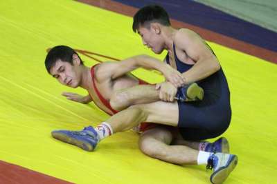 В Хакасии пройдет чемпионат по вольной борьбе