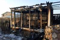 Что, где и почему: известны причины пожаров в Хакасии