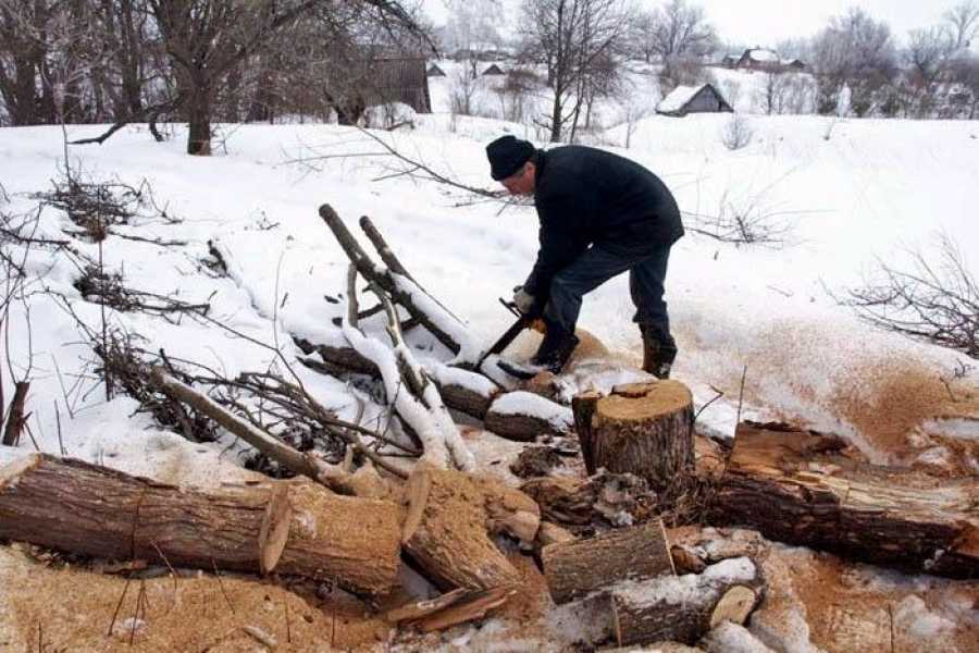Пилить рубить. Заготовка дров. Заготовка древесины. Заготовка дров на деляне. Заготовка дров в лесу зимой.