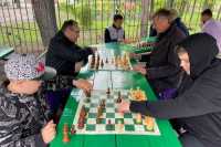 Проект «Шахматы для всех» открыли в Абакане