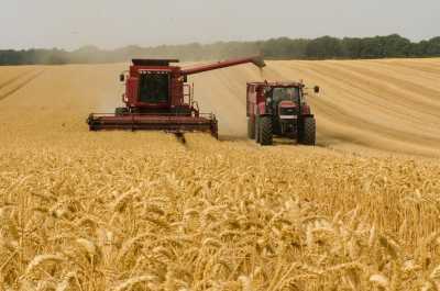 Глава Хакасии: От работы аграриев зависит продовольственная безопасность республики