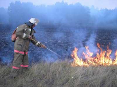 В Хакасии поджигателям травы грозят солидные штрафы
