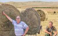 Алексей, Сергей и ещё трое Гнусковых за полтора месяца накосили 1000 тонн сена высшего качества. 
