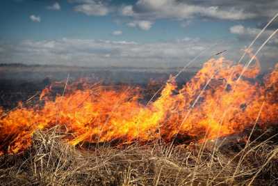 Степные пожары угрожают Хакасии
