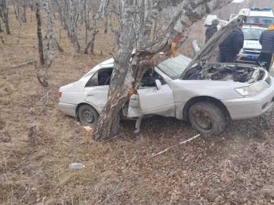 Иномарка врезалась в дерево в Хакасии