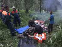 Спасатели эвакуировали из таштыпской тайги травмированного сборщика дикоросов