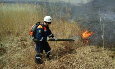 В Хакасии горит два гектара леса