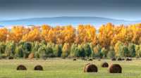 В Хакасии осень прошлась по паркам, садам, полям и лесам