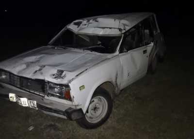 В Хакасии водитель ВАЗа сбил в темноте лошадь