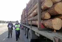 В Хакасии пресекают незаконную транспортировку древесины