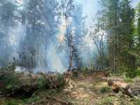 Устрашающий грозовой пожар ликвидировали ранним утром в Хакасии