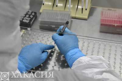 В Хакасии подтвердили три новых случая заражение COVID-19