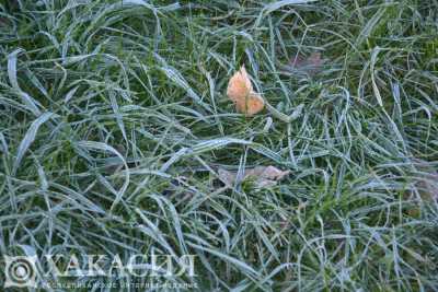 В Хакасии снова прогнозируют заморозки