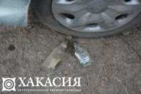В Хакасии пьяные мужчины с пистолетом угнали автомобиль у хозяев