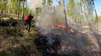 Огнём охвачены более 70 га леса в Хакасии
