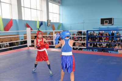 В Усть-Абакане проходит турнир по боксу «Динамо – детям России»