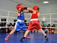 Боксеры со всей Хакасии встретятся на чемпионате и первенстве республики