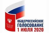 Поправки в Конституцию России: где и как голосовать сегодня