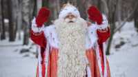 Россияне назвали самые желанные подарки от Деда Мороза