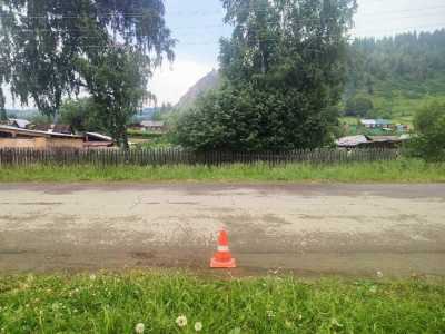Женщина серьезно пострадала на сельской дороге в Хакасии