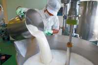 Переработка и реализация молока: новые правила с 1 марта