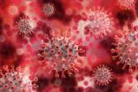 Появились свежие данные по коронавирусу в Хакасии на 7 ноября