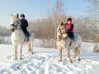 В Хакасии инвестируют в конный спорт и иппотерапию