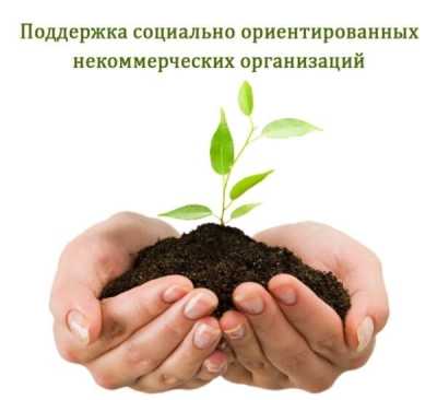 В Хакасии объявили конкурс грантов негосударственным некоммерческим организациям