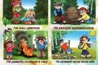 Как вести себя в лесу: советы детям от Управления ГО и ЧС Хакасии